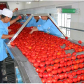 Verarbeitungsmaschine für industrielle Tomatenpüree